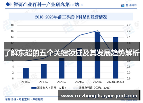 了解东超的五个关键领域及其发展趋势解析
