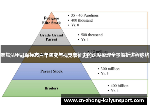 聚焦法甲冠军标志百年演变与视觉象征史的深度梳理全景解析进程脉络