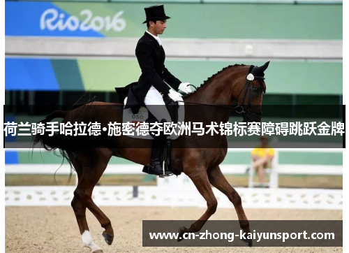 荷兰骑手哈拉德·施密德夺欧洲马术锦标赛障碍跳跃金牌