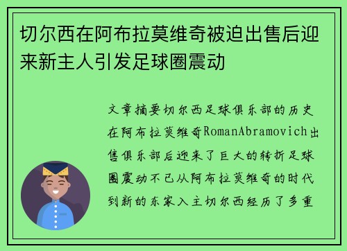 切尔西在阿布拉莫维奇被迫出售后迎来新主人引发足球圈震动